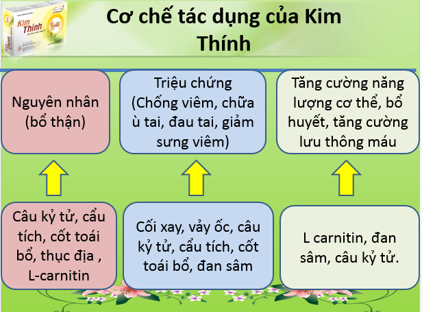 co-che-kim-thinh.png